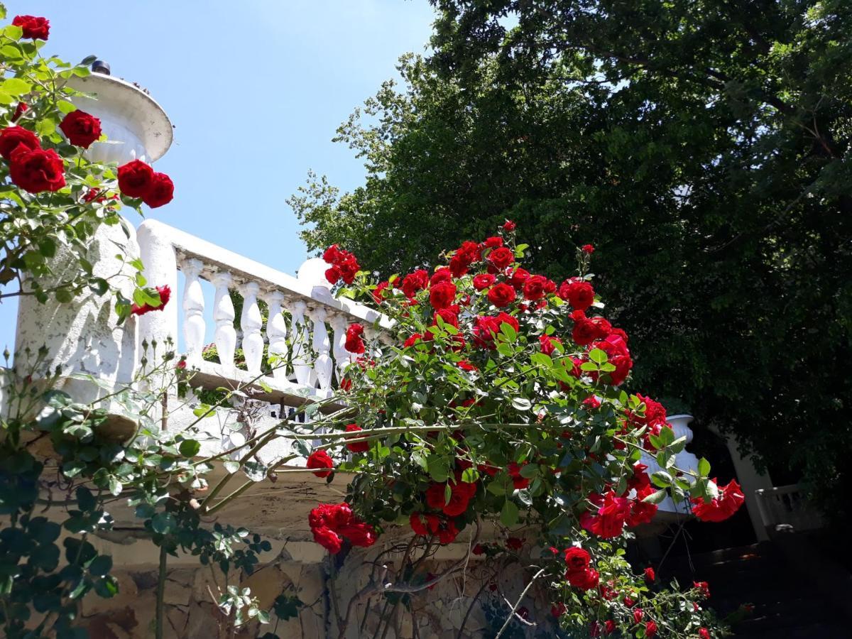 Hotel Gamartata Dyuni Εξωτερικό φωτογραφία